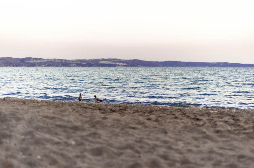 Agriturismo Podernovo - Casa 2 (Bolsena / Latium) 