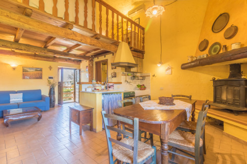 Tentua Serpepe - FeWo Grano (Montefiascone / Bolsenasee / Italien)